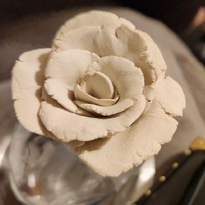 Meet your Posher, Sandy